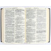 062g Библия Геце (11622) современная орфография