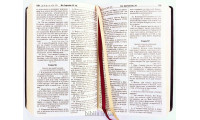 067zti Библия Геце черная кожа, индексы (11674) старая орфография