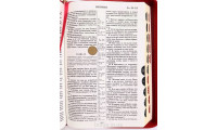 077ztig Біблія шкіра (11986) колір "ферарі", золотий зріз