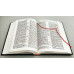 043 Біблія "Графіт" (10431) Огієнко, малий формат