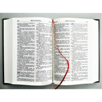 043 Біблія коричнева Сучасний переклад (10433) Турконяк, маленька