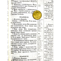 056ztis Біблія, колір пудри, сучасний переклад (105-56-22) середній формат