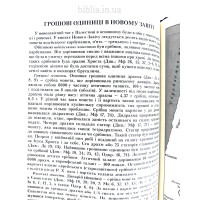 073 Біблія Філарета бордо (10737)