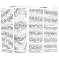 073 Біблія Філарета бордо (10737)