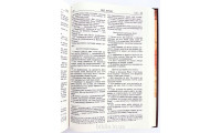 073 Біблія бордова, переклад Р. Турконяка (10739) орнамент