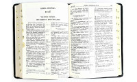 078tig Біблія, шкіра кози (101-78-31) велика, Огієнко