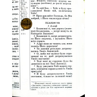 079ztig Біблія колір "венге", Сучасний переклад, шкіра бізона (105-79-52) великий формат