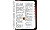 055zti Біблія, теракотовий колір (10993)