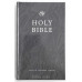 Holy Bible (140-63-31) Библия на английском языке