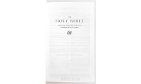 Holy Bible (140-63-31) Библия на английском языке