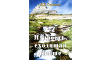 Мудрость, сходящая свыше. Д. К. Стрікленд (698) історія життя