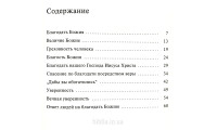 Благодать Божия. В. Макдональд (735) рос. мова