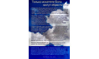 Нашедшие Бога. Т. Тинни (784)