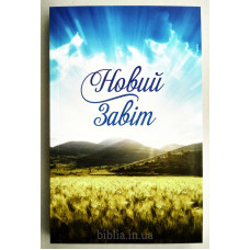 Новий Завіт. Сучасний переклад Турконяка (2009.1) глянсова обкладинка
