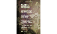 Новий Завіт. Сучасний переклад Турконяка (2011) камуфляж